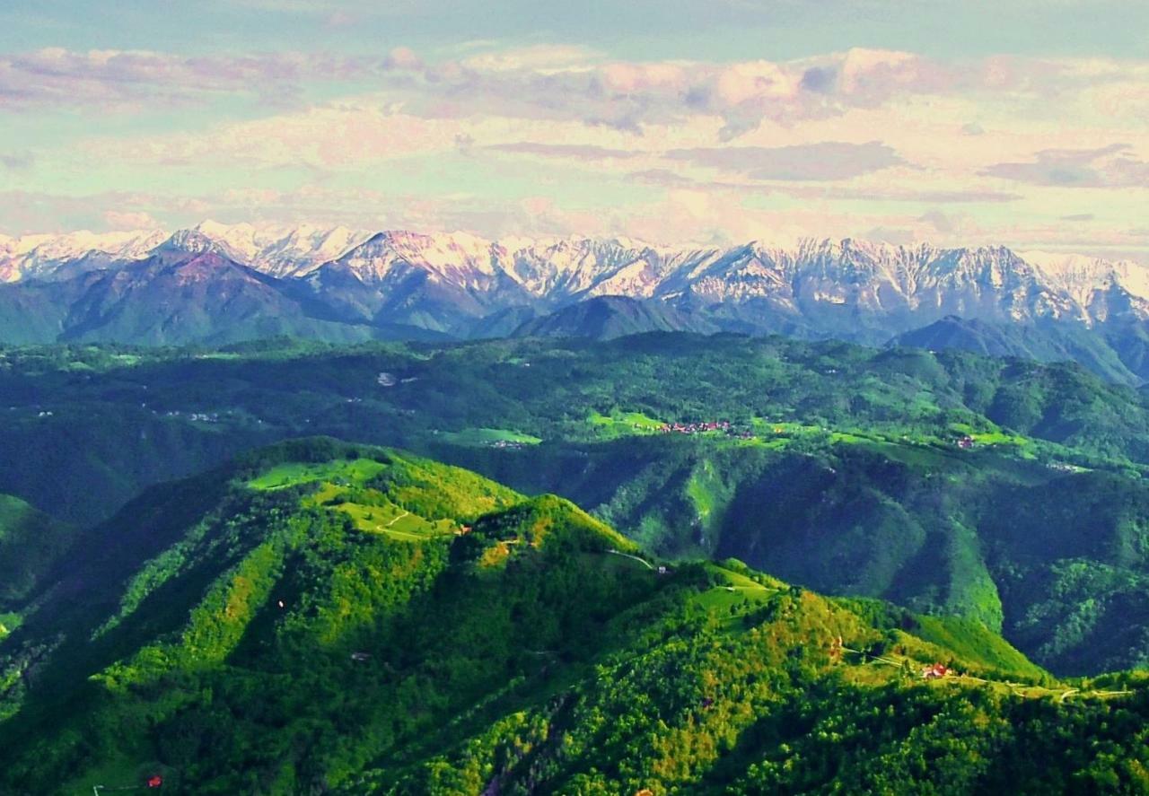 Apartma Alpski Vrt Vojsko Exteriör bild
