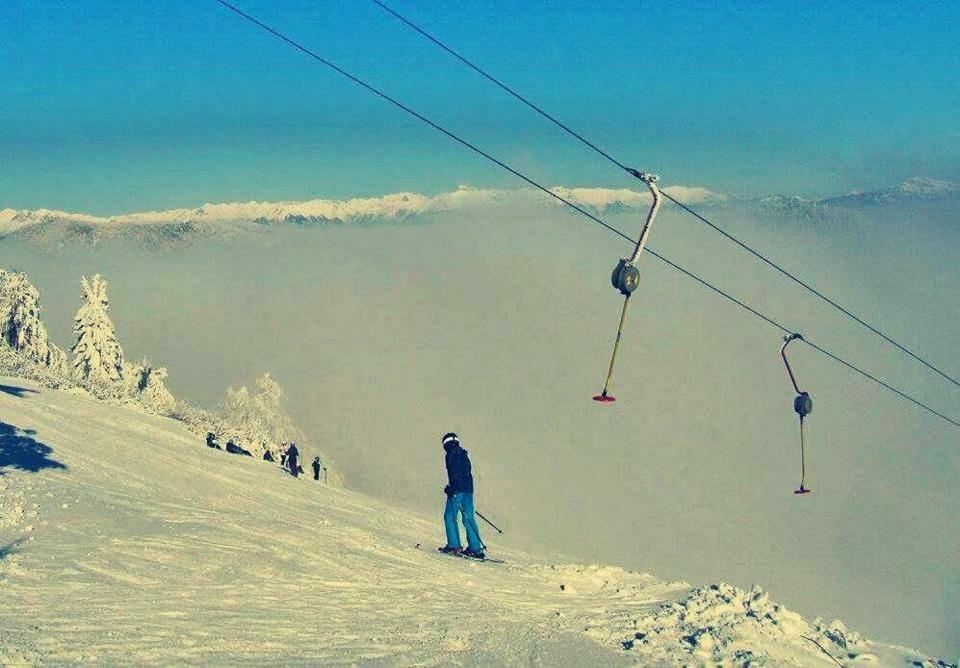 Apartma Alpski Vrt Vojsko Exteriör bild