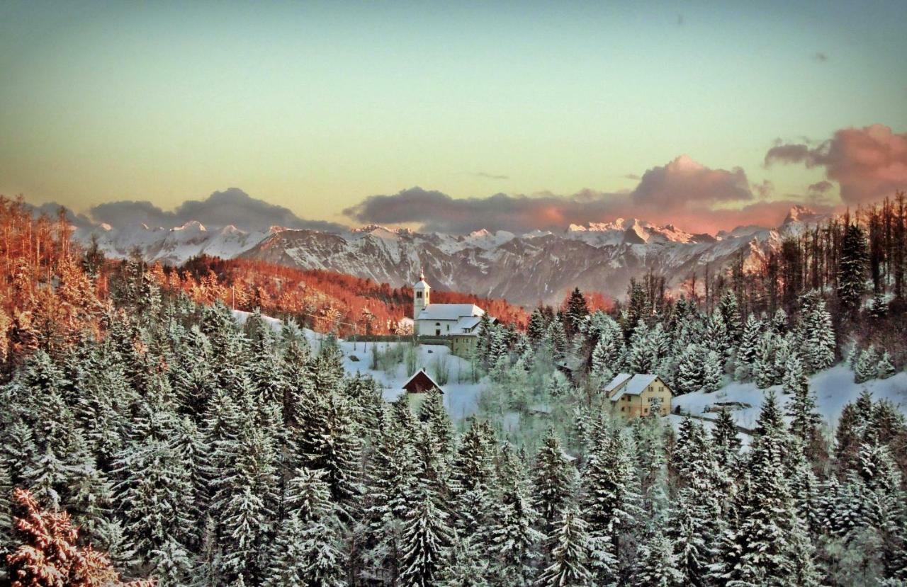 Apartma Alpski Vrt Vojsko Exteriör bild